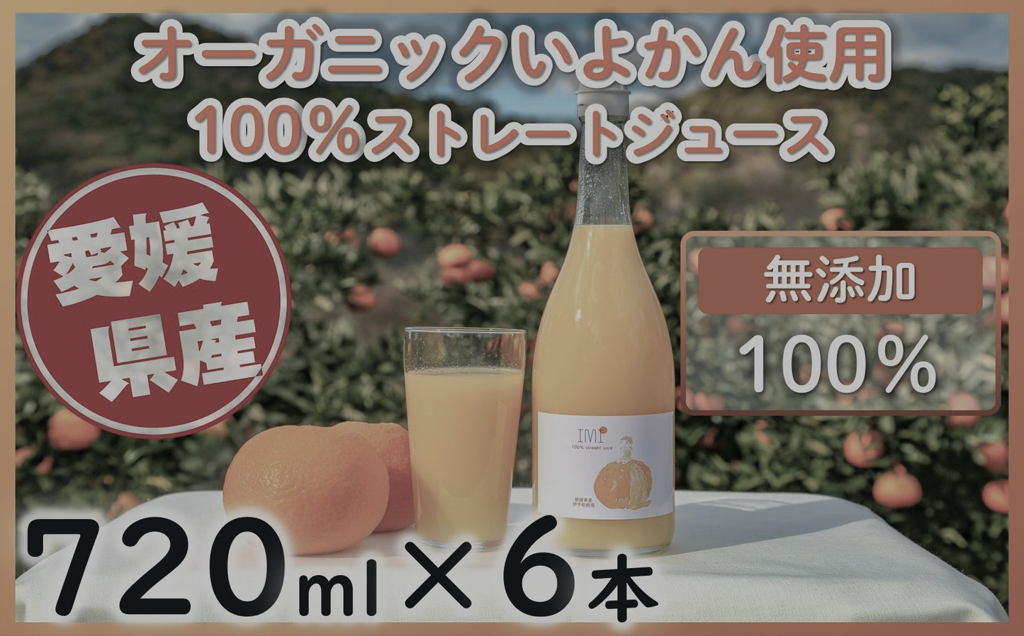 【オーガニックいよかん使用！】100％ストレートジュースIMI（720ml×6本） [送料込み]
