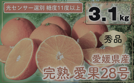 【農園直送！】完熟愛果28号 秀品3.1kg サイズミックス（10-13個） [送料込み]