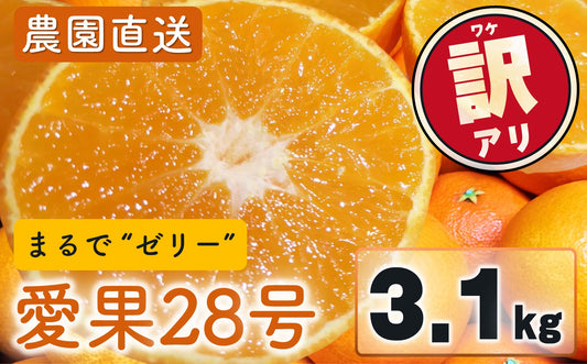 【農園直送！】訳あり愛果28号 3.1kg [送料込み]