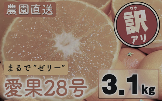 【農園直送！】訳あり愛果28号 3.1kg [送料込み]